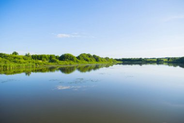 Nehirdeki ormanın yansıması