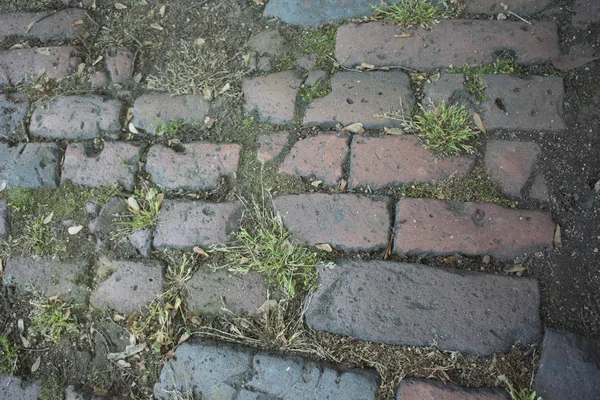 Brick Ground — Stock Photo, Image