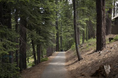 parkta yürüyüş parkuru