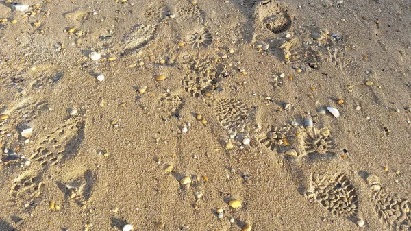 Отпечаток Ноги Песке — стоковое фото