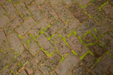 Eski, antika tuğla yürüyüş yolu