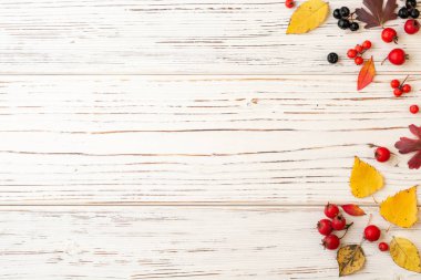 Sonbahar yaprakları ve meyveleri beyaz rustik ahşap zemin üzerinde. Üstten görünüm. Kopya alanı.