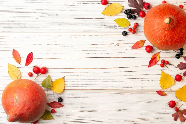 Autumn leaves, berries and pumpkins on white rustic wooden background. Top view. Copy space.