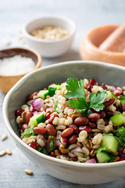 Ensalada Cebada Perlada Saludable Con Frijoles Pepinos Cebolla Roja Semillas — Foto de Stock