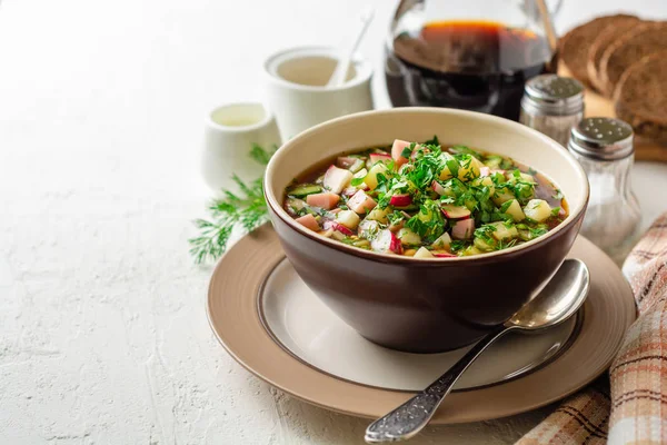 Traditional Russian Summer Cold Soup Okroshka Kvass Bowl White Concrete — Stock Photo, Image