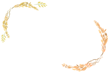 arkaplansız kuru yaprak çerçeve dekorasyonu