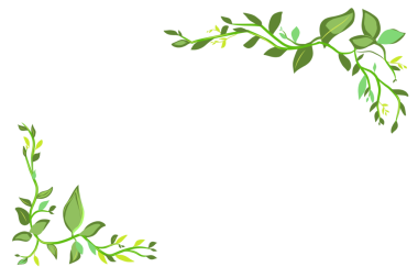 Dallanmış taze yeşil yapraklar arka planı olmayan bir çerçeve oluşturur.