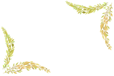 Arkaplansız dallanan yeşil yaprakların çerçevesi