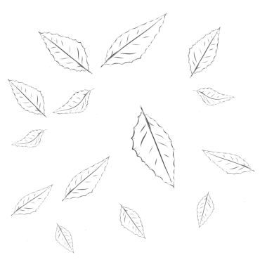 sketch of a collection of fallen leaves without a background