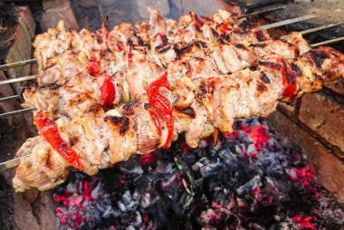 Kömürlerin üzerinde pişirme Barbekü domuz eti. Kavrulmuş et. Abur cubur.