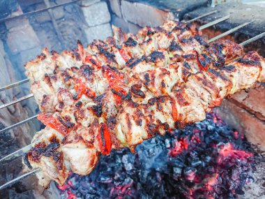 Kömürlerin üzerinde pişirme Barbekü domuz eti. Kavrulmuş et. Abur cubur.