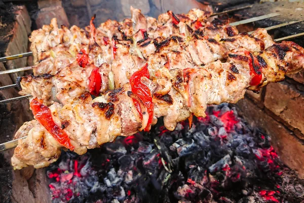 Kömürlerin üzerinde pişirme Barbekü domuz eti. Kavrulmuş et. Abur cubur.