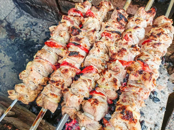 Kömürlerin üzerinde pişirme Barbekü domuz eti. Kavrulmuş et. Abur cubur.