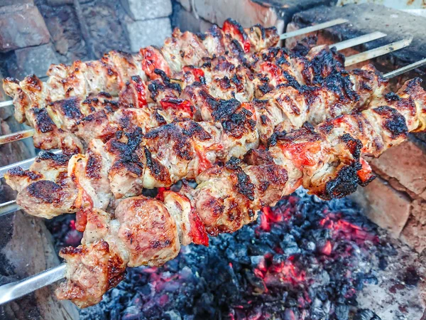Kömürlerin üzerinde pişirme Barbekü domuz eti. Kavrulmuş et. Abur cubur.
