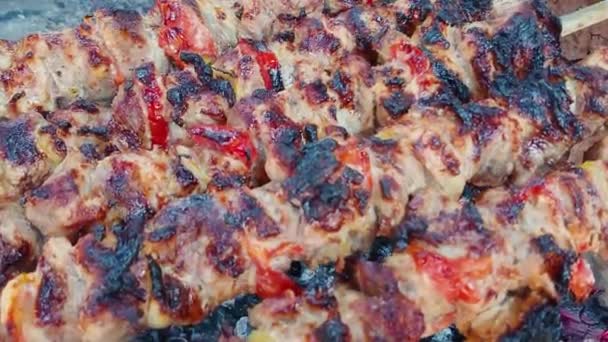 Grill Schweinefleisch Auf Den Kohlen Kochen Gebratenes Fleisch Junk Food — Stockvideo