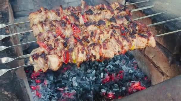 Grill Schweinefleisch Auf Den Kohlen Kochen Gebratenes Fleisch Junk Food — Stockvideo