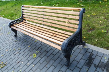Tezgah parkı şehirde. Sonbahar günü. Çim ve düşen yapraklar. Parke döşeme