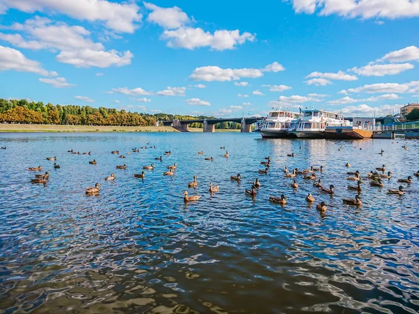 Tver, Rusya Volga Nehri'nin setin. Sonbahar güneşli gün. İskelede zevk tekneler. Vahşi yeşilbaş ördekler nehirde yüzmek. Yeni Volga Köprüsü.