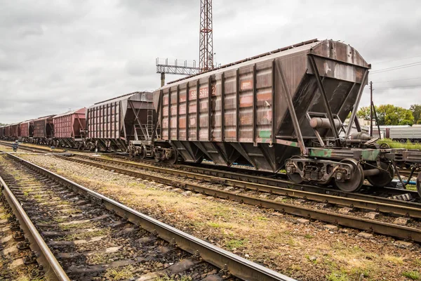 Bir Yük Treni Istasyonu Araçların Demiryolu Rayları Uyuyanlar — Stok fotoğraf