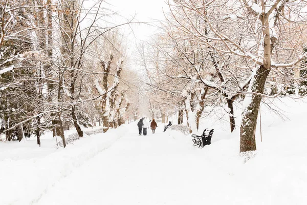 Lidé Chodí Uličkou Města Park Zimní Den Větvích Stromů Trati — Stock fotografie