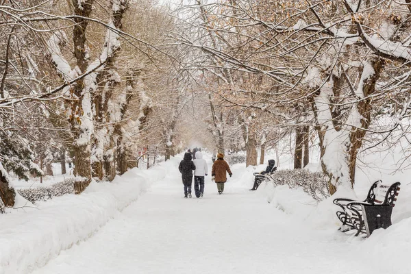Люди Ходят Аллее Городского Парка Зимний День Ветвях Деревьев Дорожке — стоковое фото