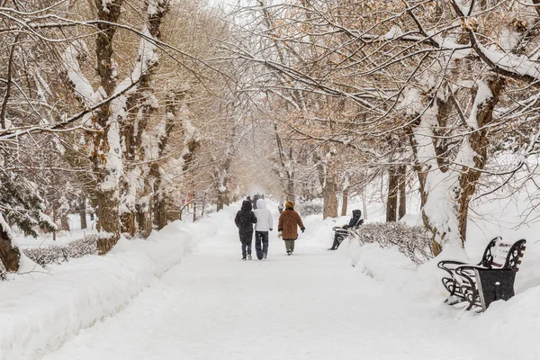 Lidé Chodí Uličkou Města Park Zimní Den Větvích Stromů Trati — Stock fotografie