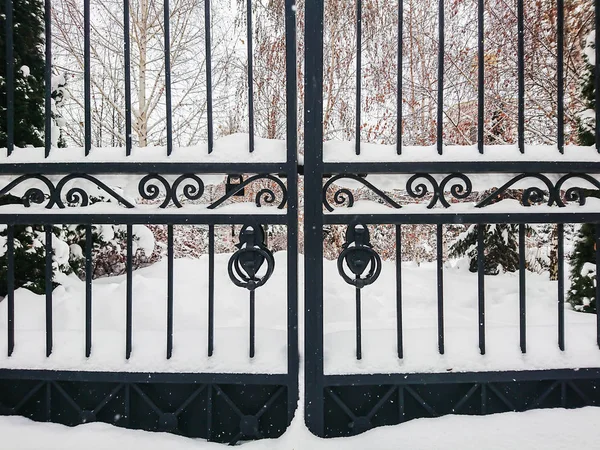 Železné Brány Vstupu City Parku Zimní Den Závěje Sněhu — Stock fotografie