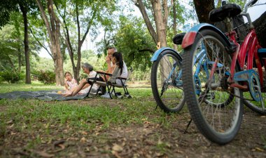 Mutlu Asyalı büyükanne ve büyükbaba, güneşli bir günde torunlarıyla yeşil bir parkta pikniğin tadını çıkarıyor, gülüyor ve kaynaşıyorlar.