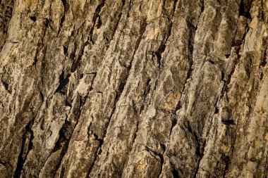 Görünür çatlakları, toprak gölgeleri ve engebeli doğal detayları olan desenli kaya yüzeyi. Jeolojik oluşum doğanın ham güzelliğini vurgular, onu bir arkaplan ya da doku olarak kullanmak için mükemmel kılar..