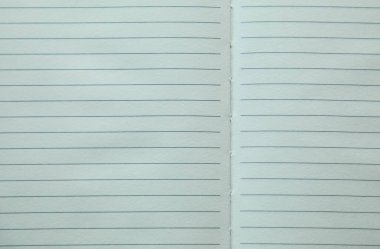 Açık çizgili geri dönüşümlü bir defter, çevre dostu yaratıcılığı, minimalist zarafeti ve sürdürülebilir yaşam tarzı ilhamını kutlayan el değmemiş beyaz bir arka plana dayanır..