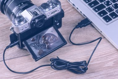 Fotoğraflar kameradan bilgisayara aktarma kablosu ile.