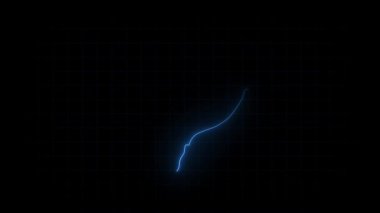 Ekvador haritası animasyonu, Parlayan Neon Ekvador haritası animasyon arka planı. Kırsal alan çizgisi animasyonu. Coğrafya için dijital ülke ana hatları simgesi