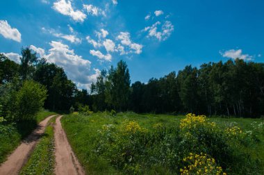 Nehirde iyi güneşli bir gün