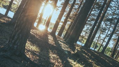 Vintage Fotoğraf göl tezgah