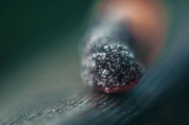 Marmelat arka plan olarak. Doku. Marmelat piyasada. Marmelat deseni. Jöleli şekerler. Gıda dokusu. Tatlıların çok renkli marmelatı.