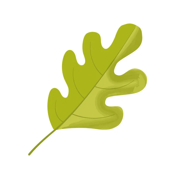 colorful green oak leaf icon.