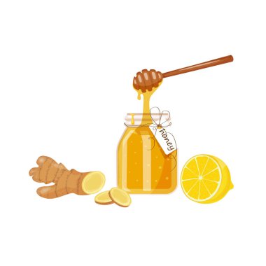 Ginger root, lemon wedge, glass jar of honey. Illustration, cartoon flat icon isolated on white. Hand drawn
