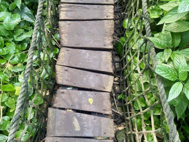 Çimenli yeşil ormanlarla çevrili halat raylı ahşap asma köprü.