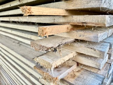 Ahşap döşeme ve ahşap projeleri için kaba kesilmiş tahtalar.