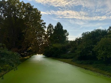 Ağaçlı yeşil gölet manzarası ve huzurlu yaz parkı manzarasında bulutlu gökyüzü.