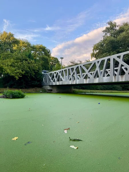 Huzurlu park manzarasında alglerle yeşil göleti geçen beyaz köprünün manzarası