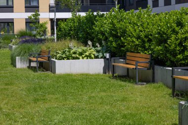 Yeşil çimenli modern bahçe tasarımı, dekoratif bitkiler, ahşap banklar ve arka planda konut binaları. Şehir bahçesi, rahat yaşam alanı ve açık hava rahatlığı.