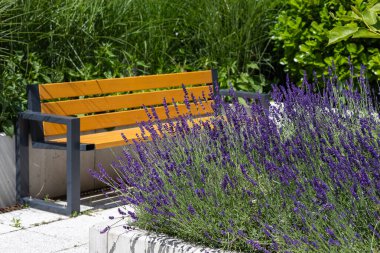 Çiçekli lavanta, ahşap bank ve yerleşim alanındaki yemyeşil alanlarla modern bahçe düzenlemesi. Kentsel bahçe tasarımı, çevre dostu açık alan ve yazın rahat dinlenme.
