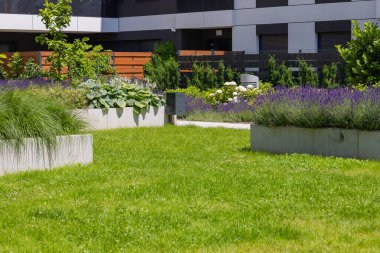 Dekoratif bitkiler, yeşil çimenler, çiçek yatakları ve düşük katlı lüks evlerin yakınındaki çalılıkların modern manzara tasarımı. Şehir bahçıvanlığı, çevre dostu açık alan ve rahat yaşam