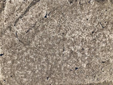 Kaldırımda Solucan İzleri