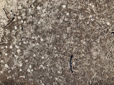 Kaldırımda Solucan İzleri