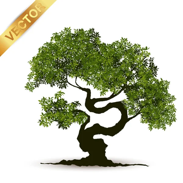 Beautiful Tree Realistic White Background — Stock Vector