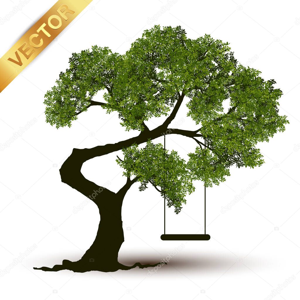 Beautiful tree Realistic  on a white background.