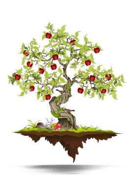 Beyaz Arkaplanda İzole Edilmiş Resimli Gerçekçi Ağaç - Vektör.