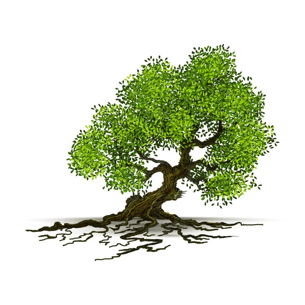 Εικονογράφηση Ρεαλιστικό Δέντρο Απομονωμένο Λευκό Φόντο Διάνυσμα — Διανυσματικό Αρχείο